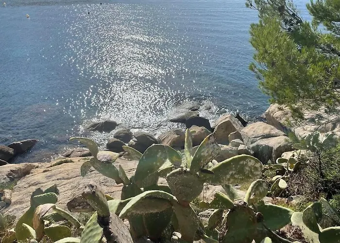 Ramon Villa *